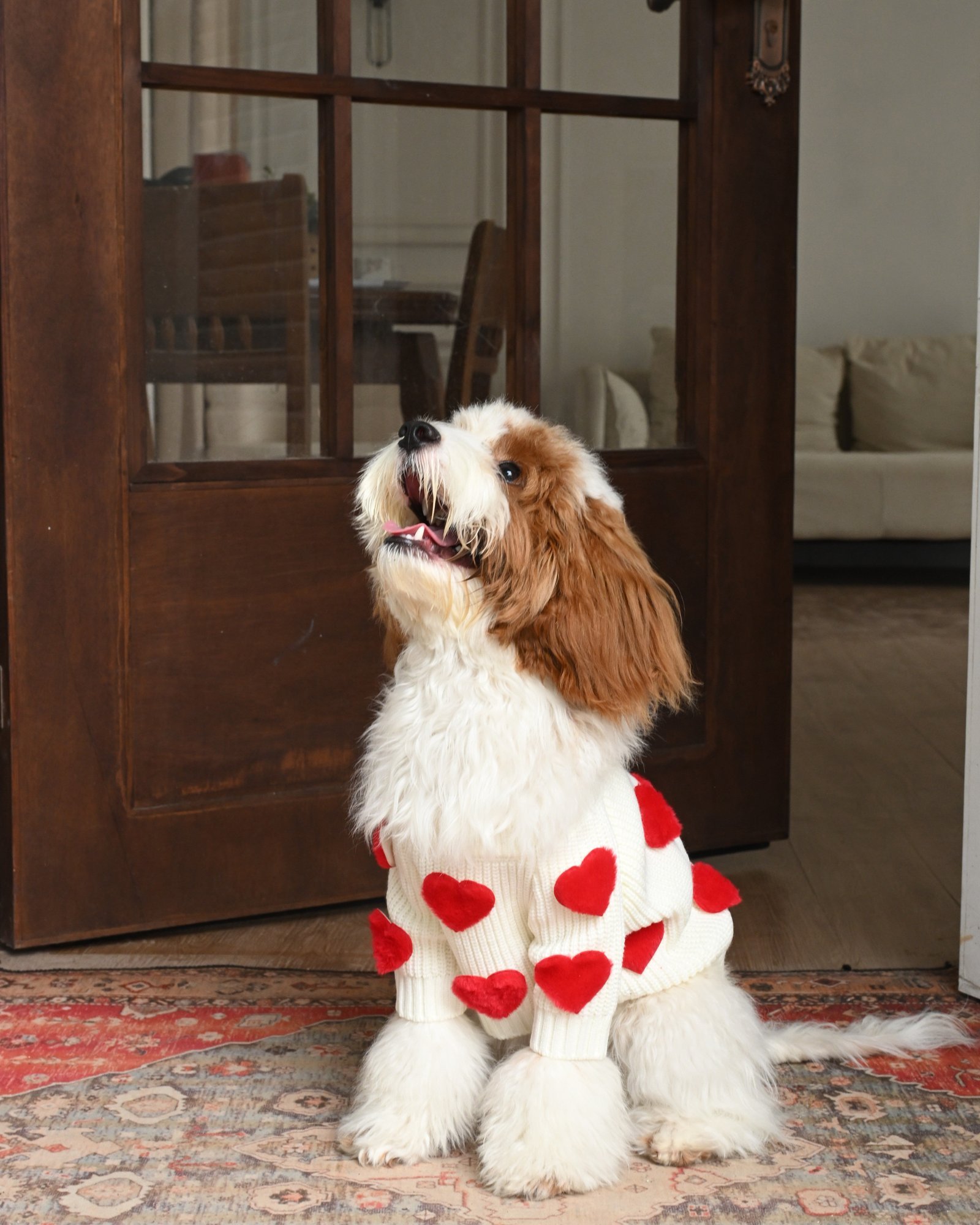 Cream Heart-3D Motif Pet Sweater - Image 5