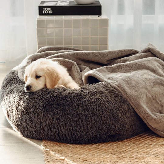 Bouclé Dog Bed & Weighted Blanket Bundle - Image 4